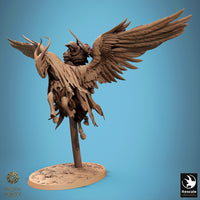 Lop-250840 Sky Sentinel FlyA