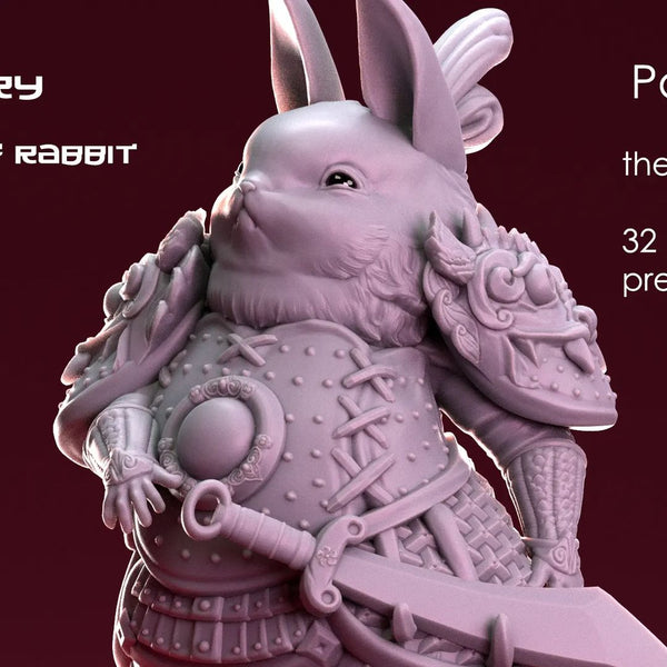 Ppnk-230102 Bunny Warrior