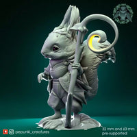 Ppnk-230603 Squirrel traveller wizard