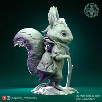 Ppnk-230603 Squirrel traveller wizard