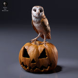 American Barn Owl - Animal Den Miniatures