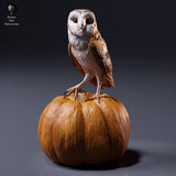 American Barn Owl - Animal Den Miniatures