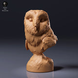 American Barn Owl Bust - Animal Den Miniatures