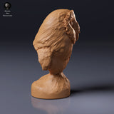 American Barn Owl Bust - Animal Den Miniatures