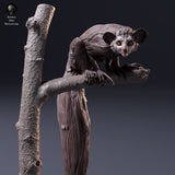 Aye-Aye - Animal Den Miniatures