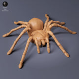 Goliath birdeater - Animal Den Miniatures