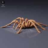 Goliath birdeater - Animal Den Miniatures