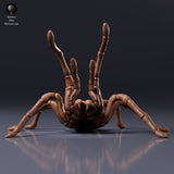 Goliath Birdeater threatened - Animal Den Miniatures
