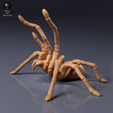 Goliath Birdeater threatened - Animal Den Miniatures