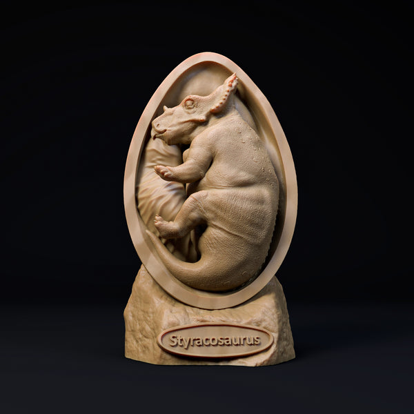 DinD-240707 Styracosaurus embryo