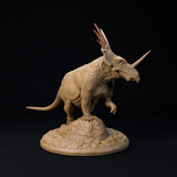 DinD-2412114 Styracosaurus 32mm