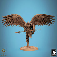 Lop-250806 Ascended Legion Fly Guard
