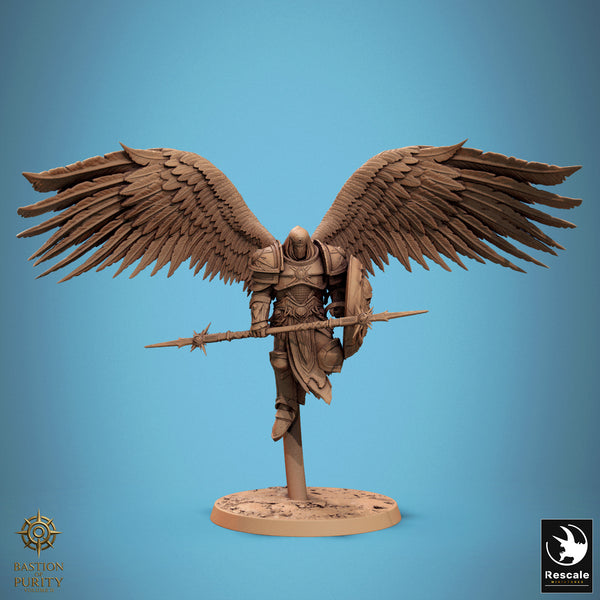 Lop-250806 Ascended Legion Fly Guard