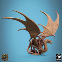 Lop-250456 Thorn Dragon