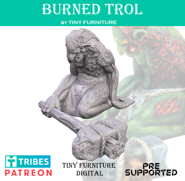 Tnyf-230105 Burned Troll
