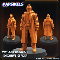 pap-2409s12 WAYLAND HANABISHI EXECUTIVE OFFICER