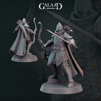 Gaa-250104 Elf Warrior01