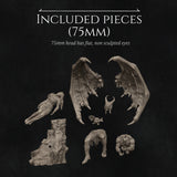 Nrk-260105 What Have I Become Beauty