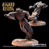 ar-230508 Whispering Wraith B