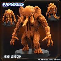 pap-2408s19 XENO LOXODON