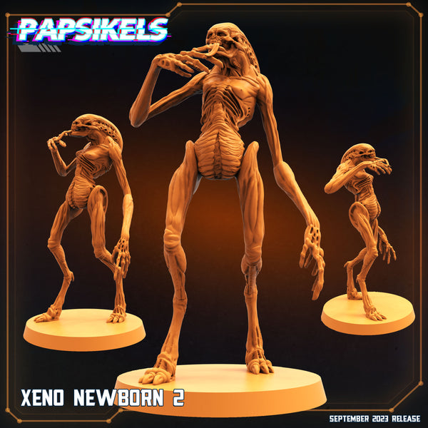 pap-2309s11 XENO NEWBORN 2