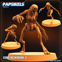 pap-2309s12 XENO NEWBORN 3