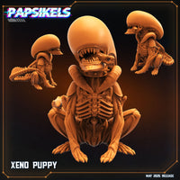 Pap-250508 XENO PUPPY