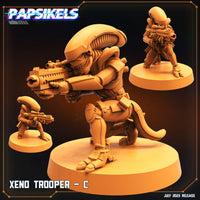 pap-2307s21 XENO TROOPER C