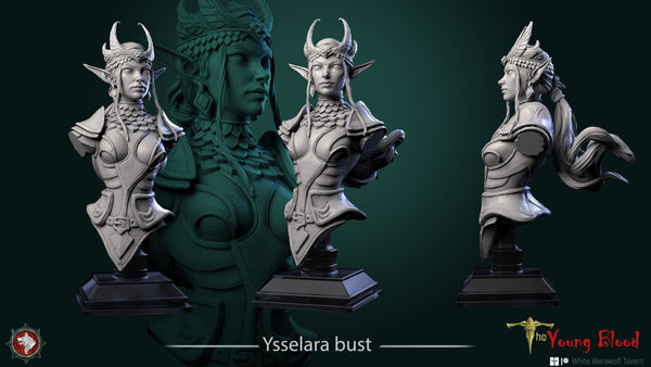 ww-240624 Ysselara bust