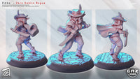 Gaz-250904 Zibbo - Zoro Goblin Rogue