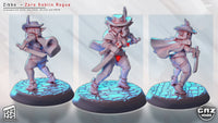 Gaz-250904 Zibbo - Zoro Goblin Rogue