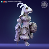 Ppnk-260201 Goat lady