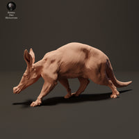 Anml-230802 Aardvark Walk