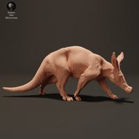 Anml-230802 Aardvark Walk