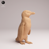 Anml-260202 African_penguin（ケープペンギン）