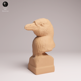 Anml-260201 African penguin bust （ケープペンギン）