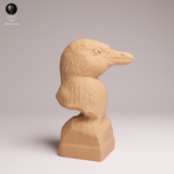 Anml-260201 African penguin bust （ケープペンギン）