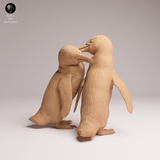 Anml-260203 African penguins couple（ケープペンギン）