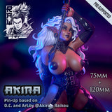 Raw-230901 Akira - Dark Elf Pin-Up