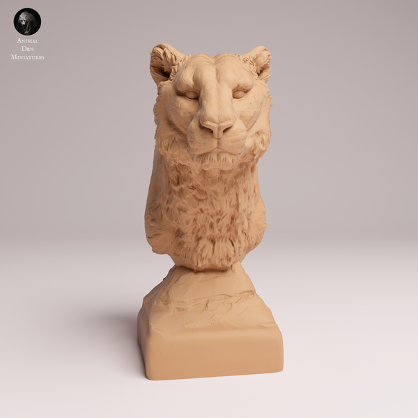 Anml-250702 Amur Leopard bust（アムールヒョウ）
