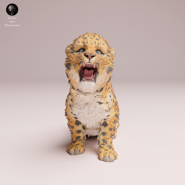 Anml-250704 Amur Leopard cub roar（吠えるアムールヒョウの子ども）