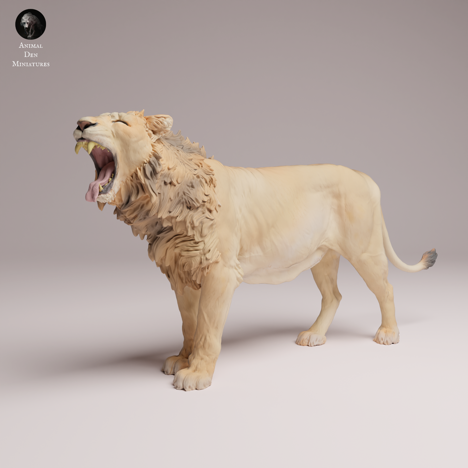 Anml-260303 Asiatic Lion yawning（インドライオン） – サベージ