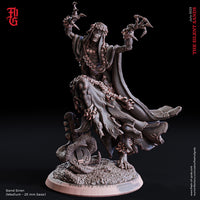 Fog-230719 Enemy - The Sand Siren, Ghost Bard 75mm