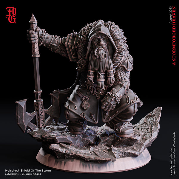 Fog-230823 Hero - Helsdred, Shield Of The Storm 75mm