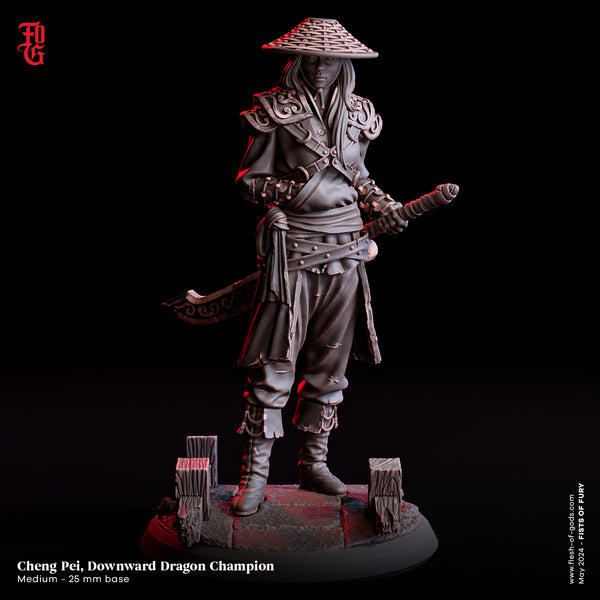 Fog-240522 Hero - Cheng Pei, Downward Dragon Champion