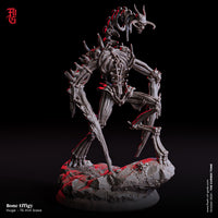 Fog-241004 Enemy - Bone Effigy