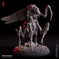 Fog-241117 Enemy - Winged Maledict