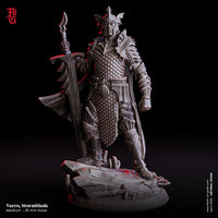 Fog-250421 Hero - Varro, Stormblade