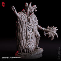 Fog-250505 Enemy - Blackwing Cult Necromancer
