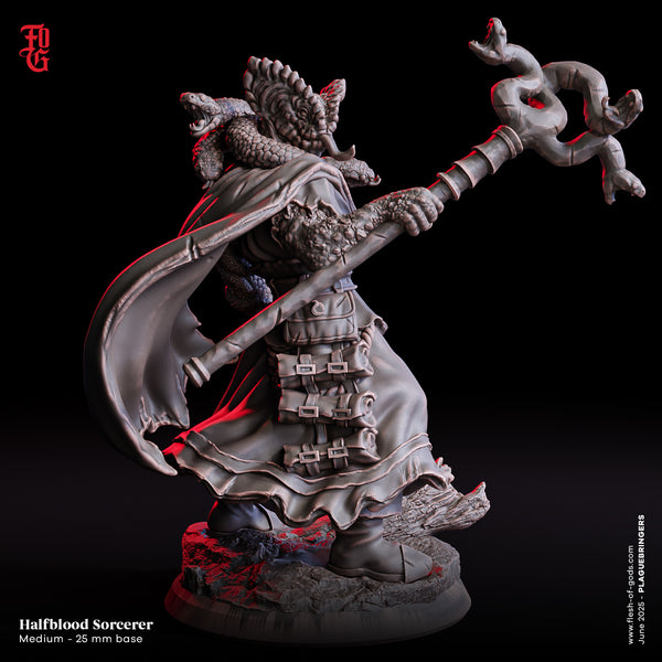 Fog-250605 Enemy - Halfblood Sorcerer